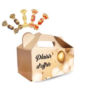 REVILLON Ballotin 60 Papillotes Chocolat & Pâtes de Fruits 5 Variétés Gourmandes Coffret Festif “Plaisir d’Offrir” 620g