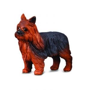 Collecta 88078 - Figurine chien Yorkshire Terrier