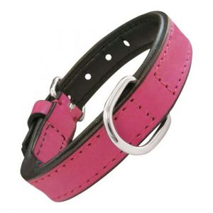 Collier pour Chien Gloria Rembourré Fuchsia 55 2 5 cm