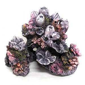 Croci Amtra A8011194 Reef Rock MD Décoration en résine