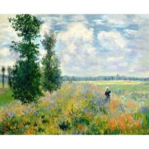 Figured'Art Peinture par Num&eacute;ro Adulte Monet Champ de coquelicots - Activit&eacute; Manuelle Kit de Loisir Cr&eacute;atif DIY Num&eacute;ro d'Art Complet - 40x50cm sans ch&acirc;ssis en bois