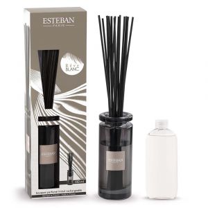 Image de Esteban Paris Rêve blanc Bouquet parfumé Initial et sa recharge 100 ml