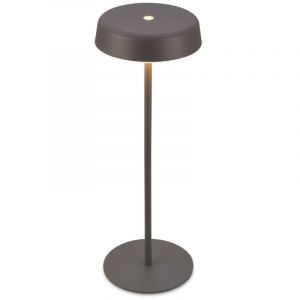 BRILONER - Lampe de table sans fil LED IP44 avec fonction tactile, dimmable, lumi&egrave;re blanche chaude, lampe de salon &agrave; poser, 13x36,5cm, anthracite