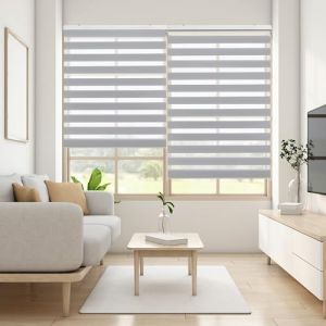 Blindecor Lira Store enrouleur jour nuit tissu double, couleur Gris argent, store zèbre 140 x 180 cm (largeur x hauteur) | Taille du tissu 137 x 175 cm. Stores tissu double élégants