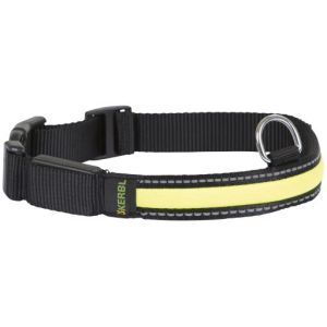 Kerbl Collier Lumineux &agrave; leds pour Chien - Combinaison Largeur et Taille: Largeur - 25 mm, Taille - 34 - 41 cm