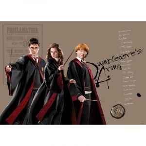 AG ART Poster intissé - Harry Potter et ses amis - Hermione et Ron - 155 x 110 cm