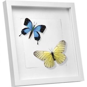 Image de EUGAD 3D Cadre Photo en MDF et Verre 40x40cm Blanc