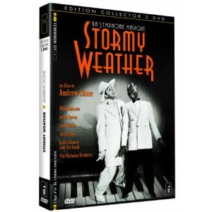 Stormy Weather - de Andrew Stone