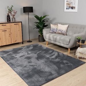 Paco Home - Tapis Salon Chambre Adulte Poils Ras Lavable En Machine Uni Moelleux Anthracite, 300x400 cm
