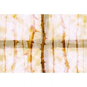 A.S. Creation A.s.creation - Papier peint panoramique ThornArt1 DD117850 Atelier 47 - 270 x 400 cm (4 pi&egrave;ces)