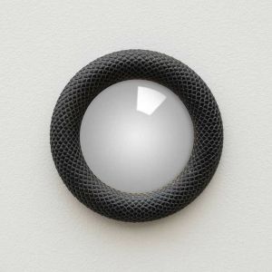 CHEHOMA - Petit Miroir Convexe &eacute;l&eacute;gant - Noir avec Motif Serpent, diam&egrave;tre 16 cm