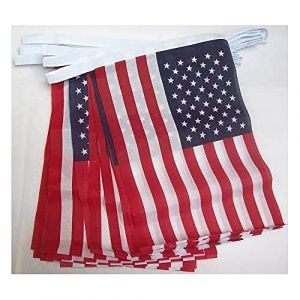 AZ FLAG - Guirlande Drapeau Etats-Unis - 6 Mètres avec 20 Fanions Américain - USA De 21x14 cm - Petits Drapeaux 100% Polyester - 60g