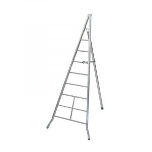 Echelle fruitière AG300