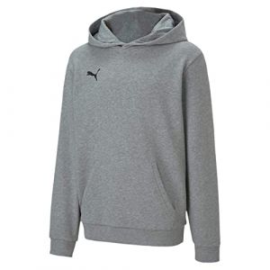 Puma Mixte enfant Teamgoal 23 Casuals Hoody Jr Pull, Medium Gray Heather, FR : Taille unique (Taille Fabricant 128) EU