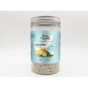 Image de Rue des plantes Aspi'odeur agrume 200g - désodorisant pour aspirateur