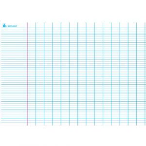 Artline Carte grand Seyès. En polypro 5/10è effaçable à sec format 70x100cm