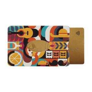 Etui rigide anti-RFID 1 carte &ndash; Color Pop - PVC Tucan &ndash; Fabriqu&eacute; en France &ndash; Protection carte bancaire &ndash; 6 x 91 cm - Gamme Latino