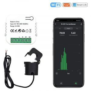 Commutateur D'energie Intelligent Mete Compteur D'energie Wifi Tuya Smart Life 80A Avec Pince De Transformateur De Courant Kw