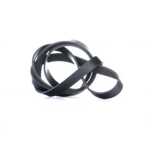 Ina Courroie Trap&eacute;zo&iuml;dale &agrave; Nervures FB 6PK1873 VW,AUDI,MERCEDES-BENZ,POLO 9N_,POLO 6R, 6C,FOX 5Z1, 5Z3,A4 8D2, B5,A4 Avant 8D5, B5,A8 4D2, 4D8