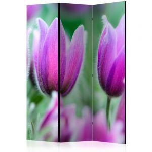 Artgeist Paravent 3 Volets "Purple Spring Tulips" 135x172cm