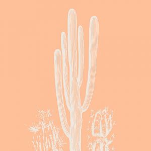 Ceanothe Tableau sur toile cactus nature 45x45 cm