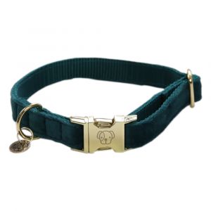 Collier pour chien Kentucky Velvet