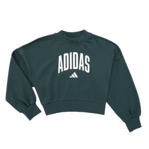 Adidas Sweat-shirt enfant Seasonals Essentials Collegiate Typography Crewneck Sweatshirt K Vert - Taille 11 / 12 ans,13 / 14 ans,7 / 8 ans,9 / 10 ans,14 / 15 ans