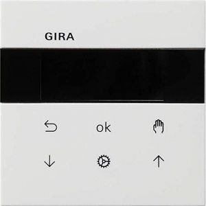 Gira Embout de Commande rws 5366112, l x H 0 cm, Blanc Pur