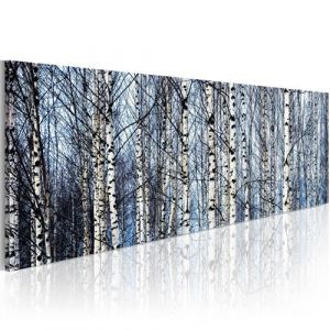 Artgeist Tableau - Bouleaux blancs 120x40