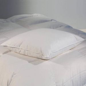 Castex Oreiller plat naturel moelleux en plumes et duvet 60x60 cm
