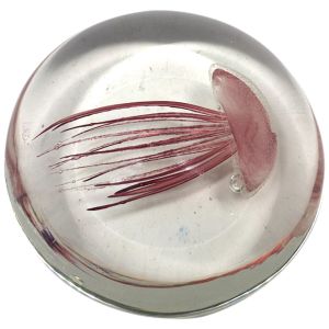 Signes Grimalt Presse papier Méduse en verre - Hauteur 4.5 cm - Diamètre 10.5 cm