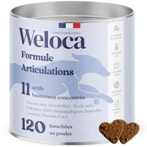 Complément Articulations chien - 120 bouchées - 11 actifs puissants (dont glucosamine chondroïtine moule verte harpagophytum)