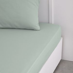 Today Draps housse CELADON Vert - Taille 160x200 cm