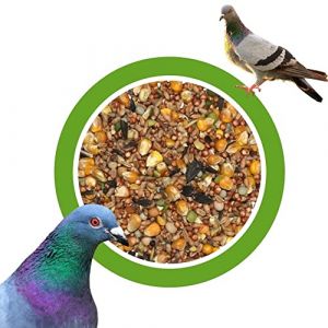 Mélange Universel Nourriture pour Pigeons 25kg