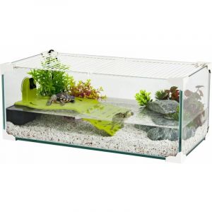 Zolux Terrarium pour tortues d'eau Karapas 50 Blanc - Blanc