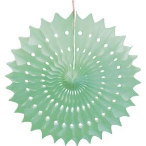 Ruedelafete Eventail alv&eacute;ol&eacute; vert menthe 20 cm