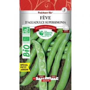 Les doigts verts Graines fèves d'Aguadulce Supersimonia bio 30g