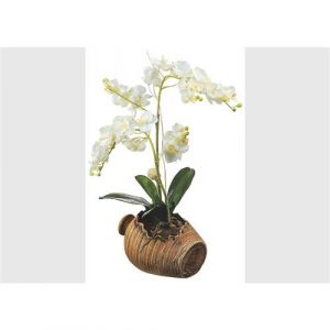 AG ART Sticker Orchid&eacute;e dans un pot - 1 planche 42,5 x 65 cm