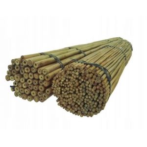 DIXIE STORE Baguettes en Bambou | Ensemble de Supports de Fleurs | Bâtonnets végétaux Robustes en Bambou, 150 cm x 14-16 mm, 200 pièces, Large Utilisation, Support de Plantes, Couleur Naturelle