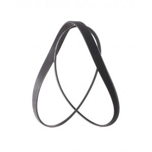 RIDEX PLUS Courroie Poly-V VW,AUDI,OPEL 305P0399P 55566903,55566904,55566905 4861722AA,4861722AB,4861733AA,4861733AB,4861733AC,K04861722AA,K04861722AB