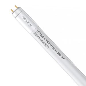 Tube LED 150cm | 3000K 20W - HO