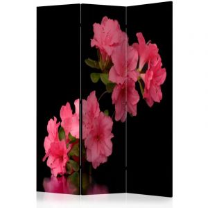Artgeist Paravent 3 Volets "Azalea in Black" 135x172cm