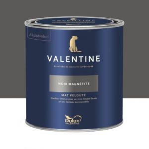 Dulux Valentine Peinture intérieure de haute qualité - Valentine - Couleur intense & pouvoir couvrant élevé - Mat Velouté Noir Magnétite 0,5 L - Noir