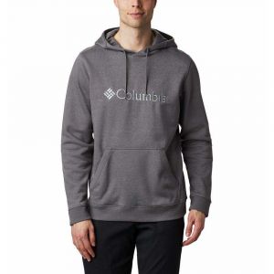 Image de Columbia CSC Basic Logo II Hoodie - Sweat à capuche taille M, noir/gris