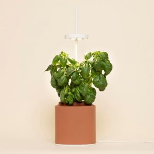 Image de Prêt à pousser Potager connecté Nano Garden terracotta