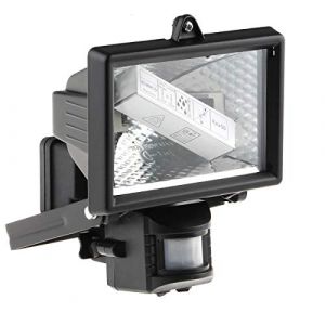 Rs pro Projecteur 120 w, IP44, avec détecteur (Prix pour 1 )