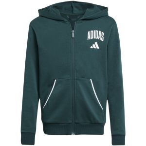 Adidas Sweatshirt zippé à capuche garçon seasonals essentials collegiate typography