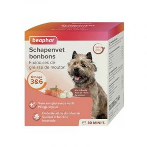 Beaphar Mini-friandises à la graisse de mouton et Saumon pour chien – Complément alimentaire – Omega 3 et 6 – Flore intestinale, système immunitaire et pelage – Ingrédients 100% naturels – 80 pièces