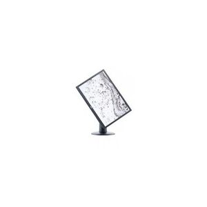 AOC Pro-line M2060PWDA2 - Écran LCD 19.53"