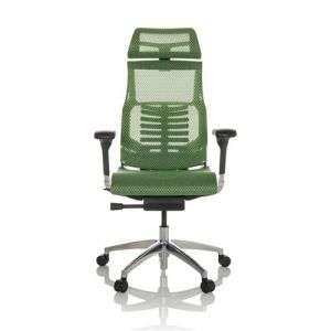 hjh OFFICE Chaise de Bureau Professionnelle DYNAFIT II Filet Chaise pivotante Ergonomique avec Soutien Lombaire Flexible, Vert, 652286